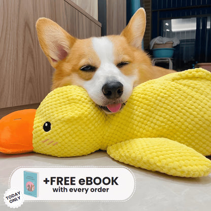 Quacko® Calming Duck (FREE Today)