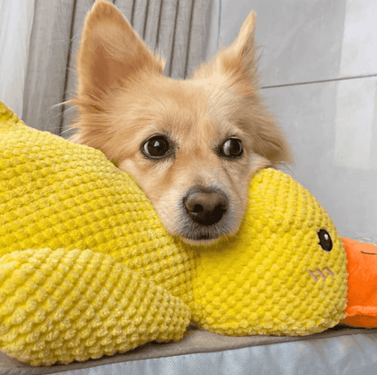 Quacko® Calming Duck (FREE Today)